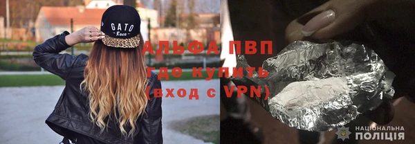 прущие грибы Абинск