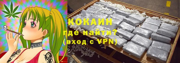 прущие грибы Абинск
